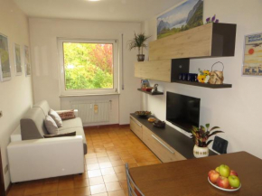 Appartamento Panoramico Lungopassirio